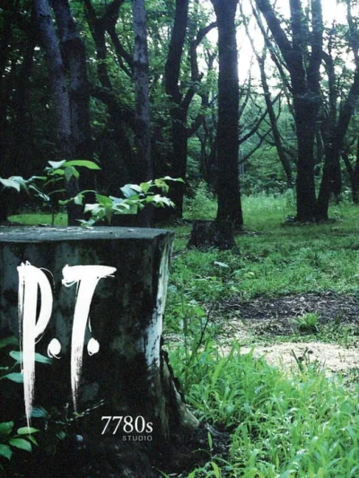 P.T. box art
