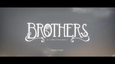 Brothers - A Tale Of Two Sons box art