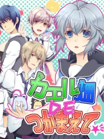 Kaeru Batake de Tsukamaete box art