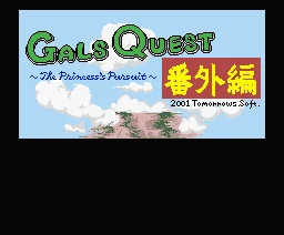 Gals Quest - The Princess' Pursuit box art