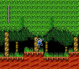 MegaMan II : X box art