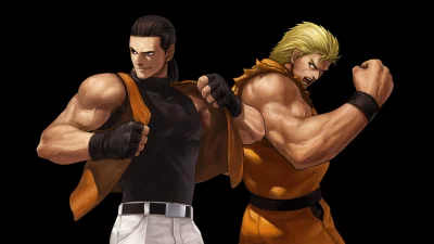 Aca Neogeo Art Of Fighting box art