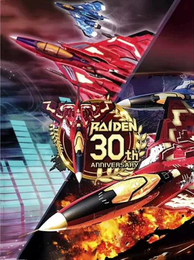 Raiden: 30th Anniversary box art
