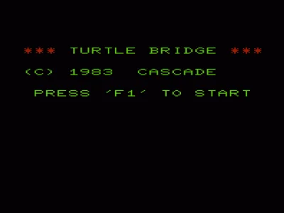 Turtle Bridge box art