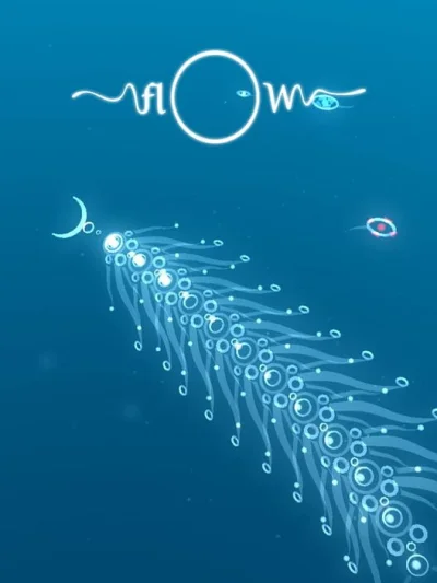 flOw box art