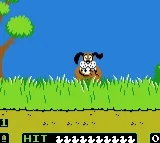 Nes Conversion - Duck Hunt box art
