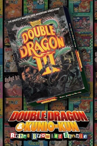 Double Dragon III: The Sacred Stones box art