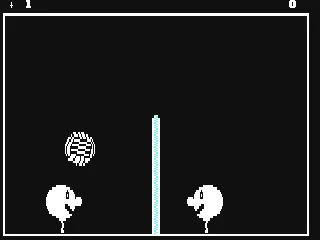 Volleyball box art