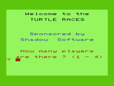 Turtle Races box art