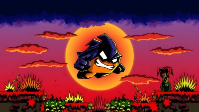 Fenix Rage box art