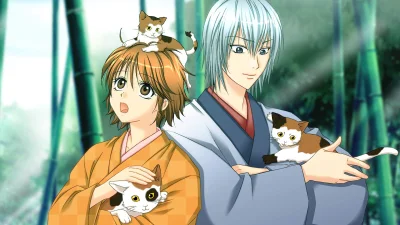 Bakumatsu Renka Shinsengumi - Jinchuu Houkoku no Shi box art