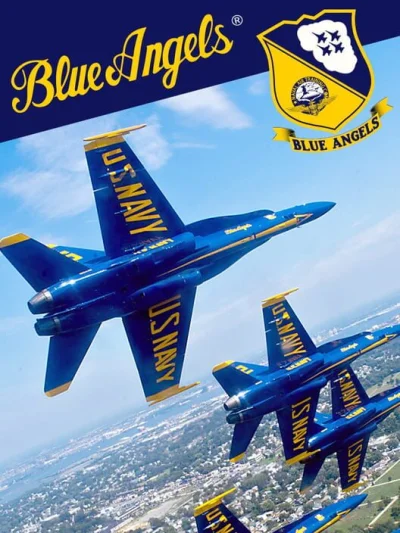 Blue Angels Aerobatic Flight Simulator box art