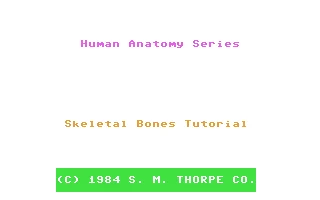 Human Anatomy Series : Skeleton Bones Tutorial box art
