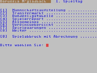 Bundesliga 94-95 box art