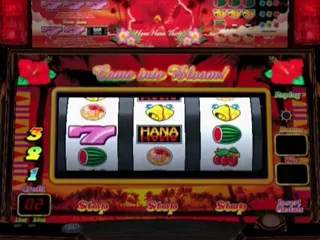 Slotter Up Mania - Chou Oki-slot! Pioneer Special box art