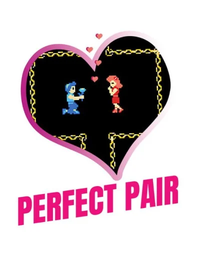 Perfect Pair box art