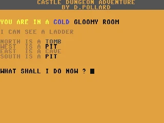Castle Dungeon Adventure box art