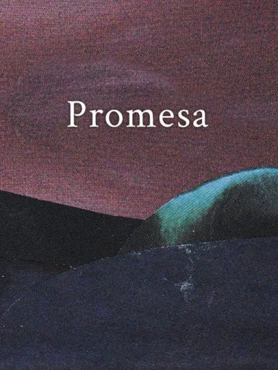 Promesa box art