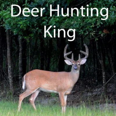 Deer Hunting King box art