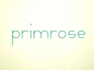 Primrose box art