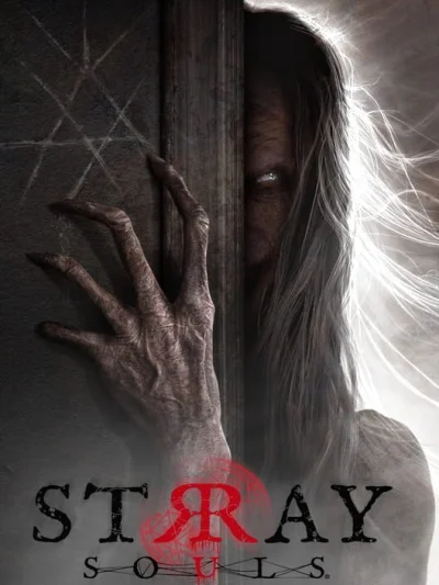 Stray Souls box art