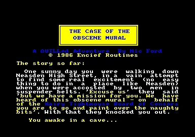 Case Of The Obscene Mural, The box art