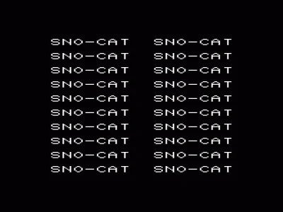 Sno- Cat box art