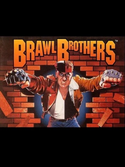 Brawl Brothers box art