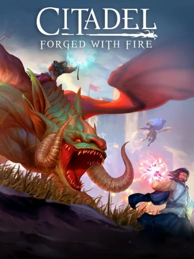 Citadel: Forged With Fire box art