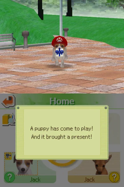 Nintendogs : Jack Russell Relay Mode box art