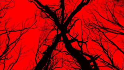 Blair Witch box art
