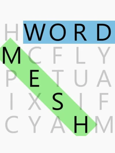 Word Mesh box art