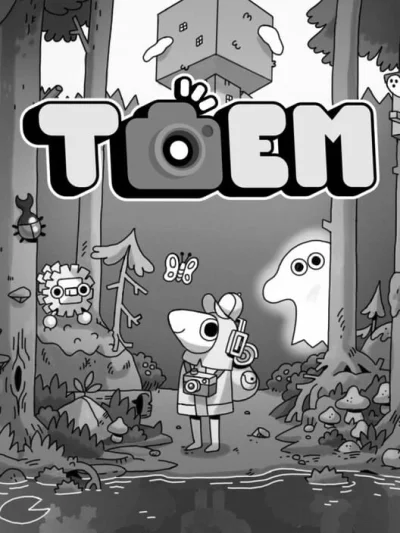 Toem box art