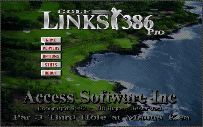 Golf Links 386 Pro box art