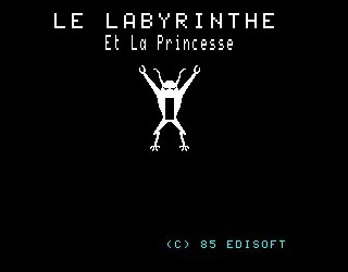 Labyrinthe et la Princesse, Le box art