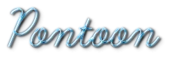 Pontoon box art