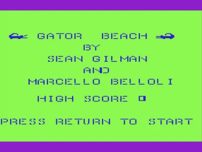 Gator Beach box art