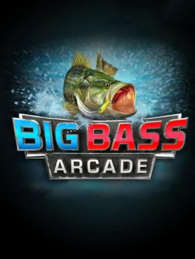 Big Bass Arcade box art