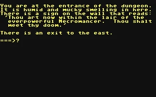 Lair of the Necromancer box art