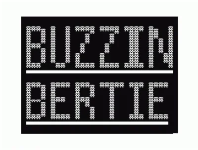 Buzzin' Bertie box art