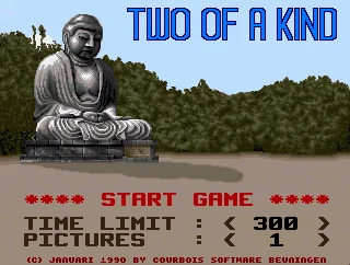 Two of a Kind box art