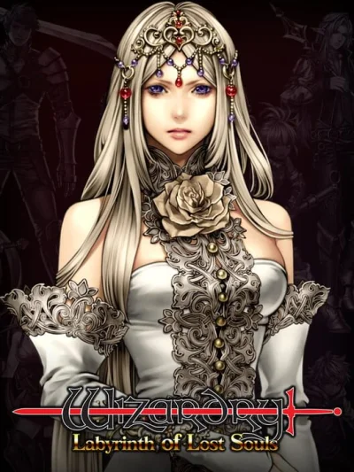 Wizardry - Torawareshi Tamashii no Meikyuu box art