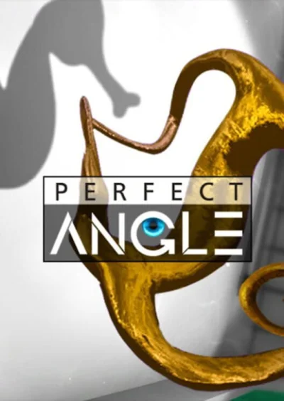 Perfect Angle box art