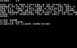 Porn : The Game box art