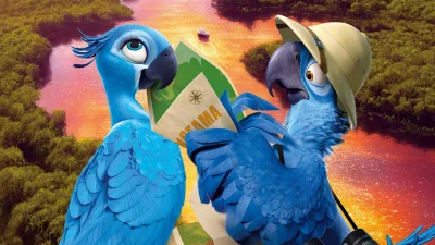 Rio box art