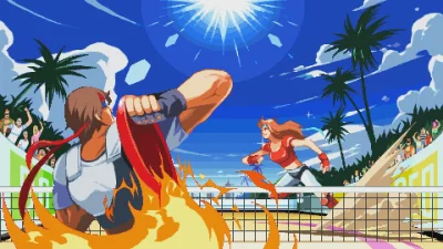 Windjammers box art