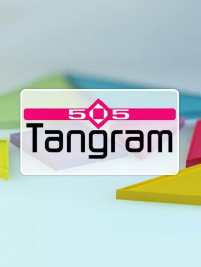 505 Tangram box art