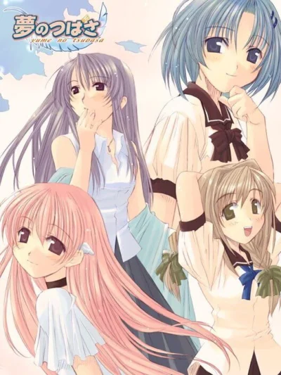 Yume no Tsubasa box art