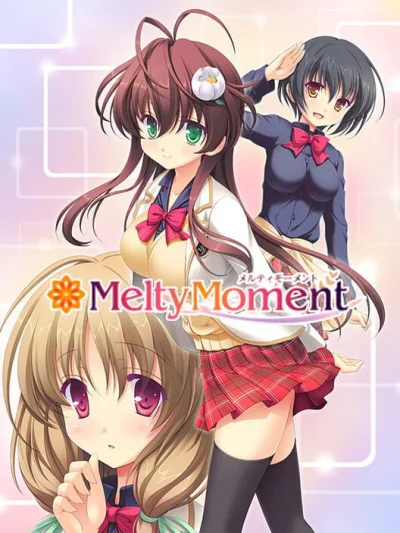 MeltyMoment box art