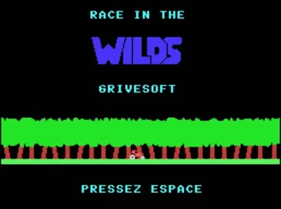 Race In The Wilds box art